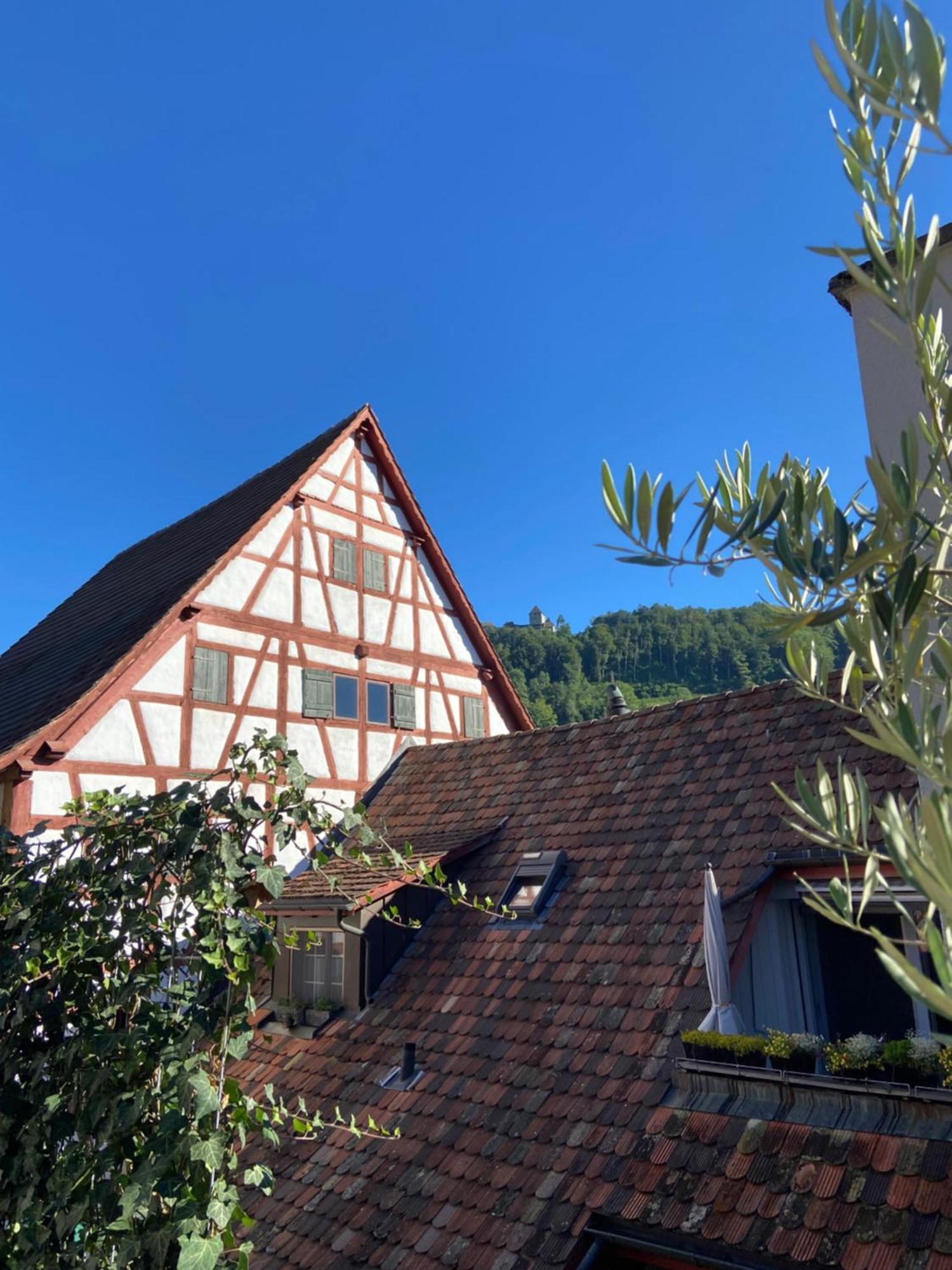 Understadt 14 Guesthouse Stein Am Rhein Exteriér fotografie